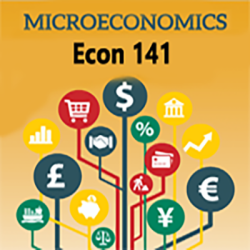 Econ 141 Microeconomics